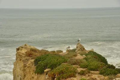 DSC_6545 (Large).JPG